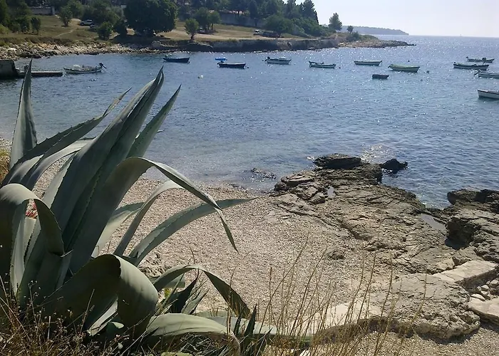6 Διαμέρισμα